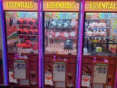 -汤姆熊欢乐世界(罗斯福店)