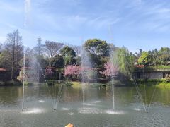 -苏州涵园假日酒店花园餐厅