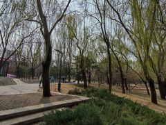 -元大都城垣遗址公园