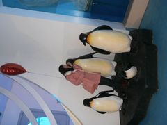 -蓬莱欧乐堡海洋极地世界