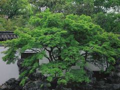 -常熟方塔园