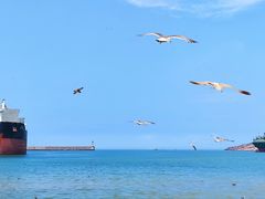 -海驴岛(荣成市)