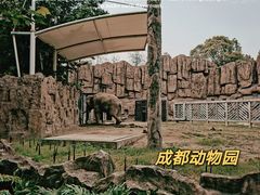 -成都动物园