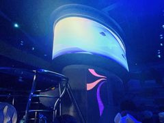 -海底巡游艇:尼莫和好友的海洋世界