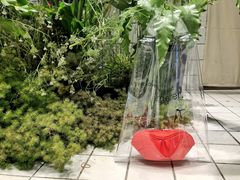 -VESH COFFEE(定西路店)