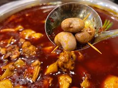 -冯记香辣兔火锅(茶店子总店)