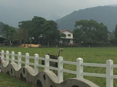 -瑞穗牧场