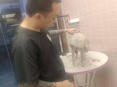 -FAELING PETS美天灵宠物(富力广场店)
