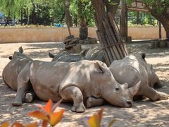 -西安秦岭野生动物园