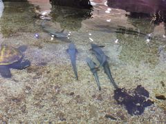 -鸿通城购物中心