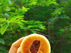 -Juicy Bakery(大学路店)