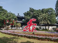 -荔湾湖公园