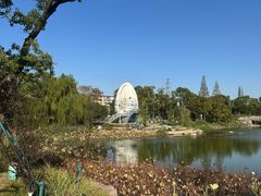 -宁波儿童公园(鄞州区)