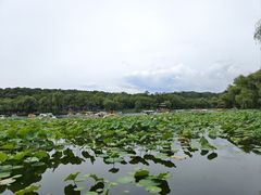 -承德避暑山庄景区