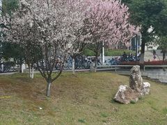 -江南大学(蠡湖校区)