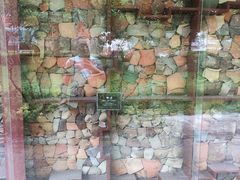 -南越王博物院(王宫展区)