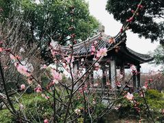 -无锡梅园公园