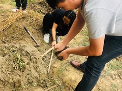 -田园东方蜜桃村的田野营地