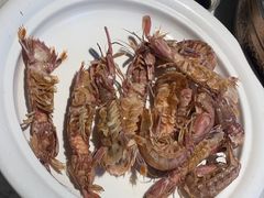 -悦海·家宴·冰花皮皮虾大锅贴(宝龙店)