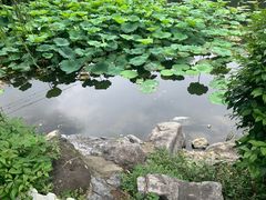-郑和公园