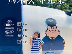 -上海虹桥祥源希尔顿酒店