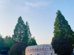 -滕州微山湖红荷湿地景区