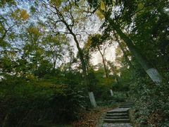 -岳麓山风景名胜区