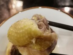 泉水鲜鸡汤-先机泉水鸡汤(南山老君洞店)