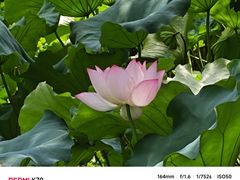 -丝绸小镇荻港古村