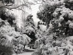 景点-景山公园
