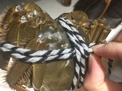 -喜洋洋蟹庄(阳澄湖店)