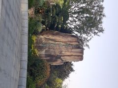 -昆山城市生态森林公园