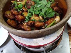 -广宁炭炉鸡煲·富临门饭店