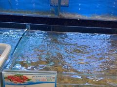 -钱山海鲜大排档