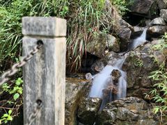 -水濂山森林公园