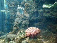 图像0038-蠡湖中央公园