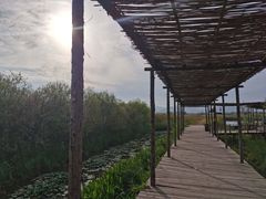 -处女泉风景名胜区