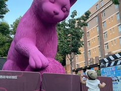 -西安电影制片厂