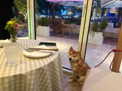 -翠贝卡&Mama Kelly Brunch Coffee(河西店)