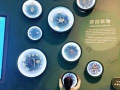 -中国湿地博物馆