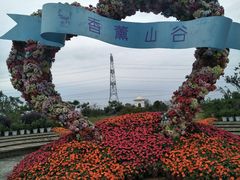 -紫颐香薰山谷景区