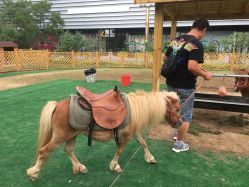 -萌宠亲子动物乐园(槐房万达店)