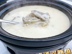奶汤河豚鱼-永丰源大酒店(人民中路店)