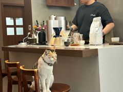 -Again Coffee Roaster(香蜜湖店)