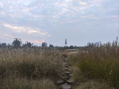 -汉长安城未央宫国家考古遗址公园