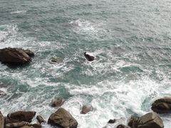 -广东惠东海龟国家级自然保护区