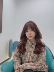-YESIDO椰岛造型