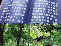 -茅兰沟国家森林公园