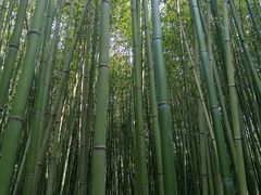 -竹泉村旅游度假区