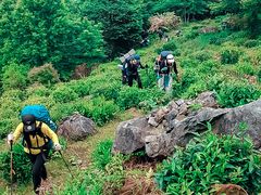 -石台牯牛降景区